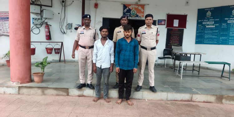 राजपुर: 8 बैलों से भरी पिकअप जब्त, पशु क्रूरता व अवैध परिवहन में दो आरोपी गिरफ्तार