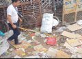 इटावा में कबाड़ गोदाम से निकला 5 फीट लंबा अजगर,