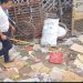 इटावा में कबाड़ गोदाम से निकला 5 फीट लंबा अजगर,