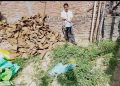 गोबर के उपलों में छिपा मिला खतरनाक कोबरा