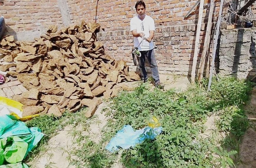 गोबर के उपलों में छिपा मिला खतरनाक कोबरा