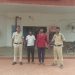 कुसमी: सात मवेशियों को क्रूरतापूर्वक हांककर बूचड़खाने ले जाने का आरोप, 2 गिरफ्तार