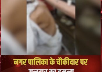 उत्तर प्रदेश के बिजनौर जिले में गुलदार के हमले की एक घटना सामने आई है।