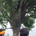 इटावा में युवक की संदिग्ध मौत से मचा हड़कंप, गांव में जुटी भीड़