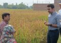 अमेठी: जिलाधिकारी ने बासुपुर में कराई धान की क्रॉप कटिंग, 40.54 कुंतल प्रति हेक्टेयर आंकी गई उत्पादकता