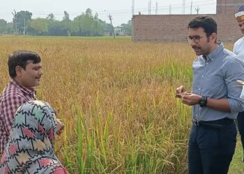 अमेठी: जिलाधिकारी ने बासुपुर में कराई धान की क्रॉप कटिंग, 40.54 कुंतल प्रति हेक्टेयर आंकी गई उत्पादकता