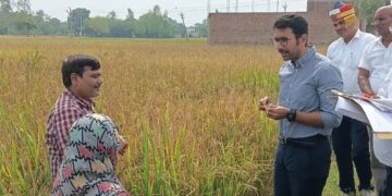 अमेठी: जिलाधिकारी ने बासुपुर में कराई धान की क्रॉप कटिंग, 40.54 कुंतल प्रति हेक्टेयर आंकी गई उत्पादकता